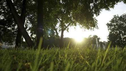 Similar image 22459994