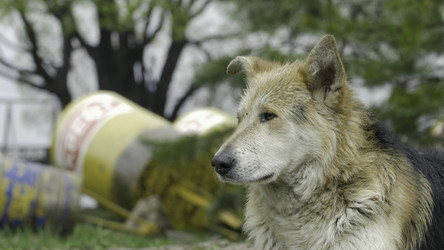 Similar image 22460039