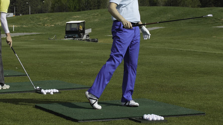 Similar image 22460069