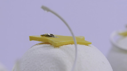 Similar image 22460098