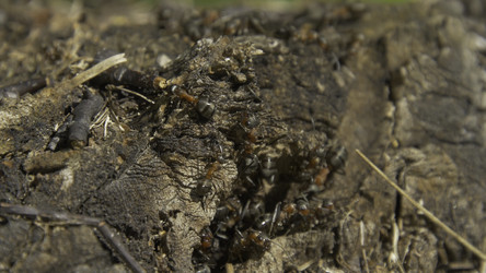 Similar image 22460203