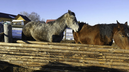 Similar image 22463031