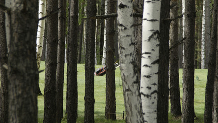 Similar image 22463556