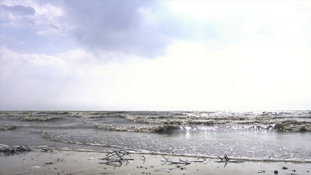 Similar image 22469904