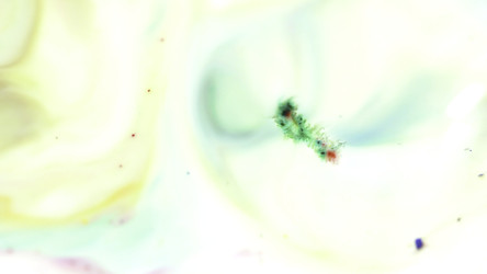 Similar image 22458320