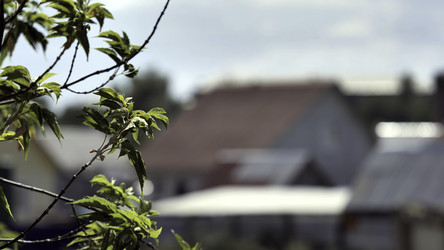 Similar image 22458335