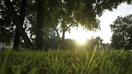 Similar image 22458409