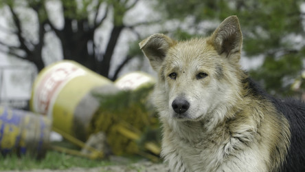 Similar image 22458470