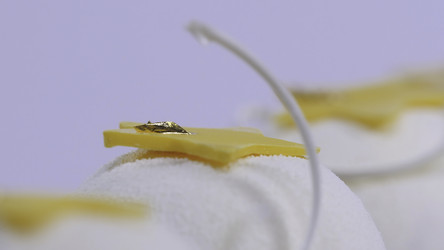 Similar image 22458843