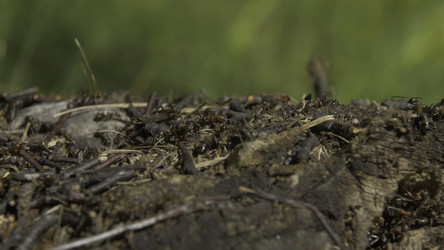 Similar image 22458920