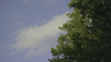 Similar image 22459520