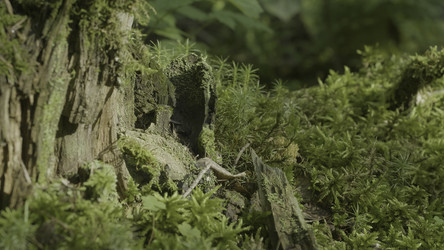 Similar image 22459535