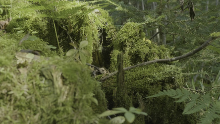 Similar image 22459549