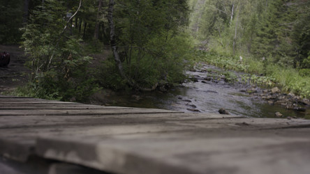 Similar image 22459566