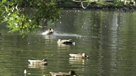 Similar image 22460011