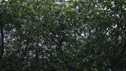 Similar image 22462178