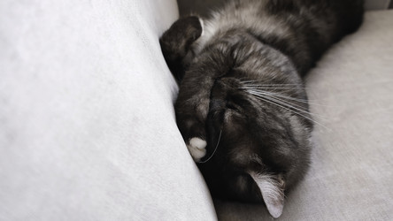 Similar image 22462191