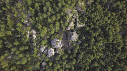 Similar image 22462386