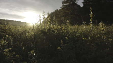 Similar image 22462762