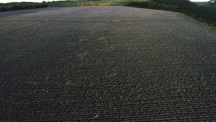 Similar image 22462778