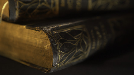 Similar image 22463586