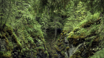 Similar image 22463674