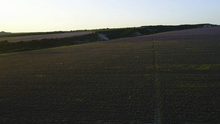 Similar image 22463689