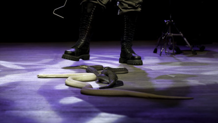 Similar image 22458231