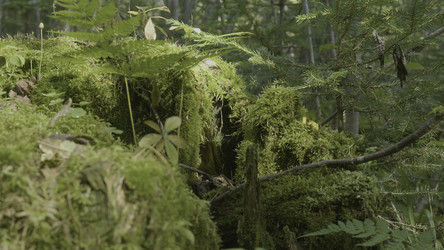 Similar image 22458441