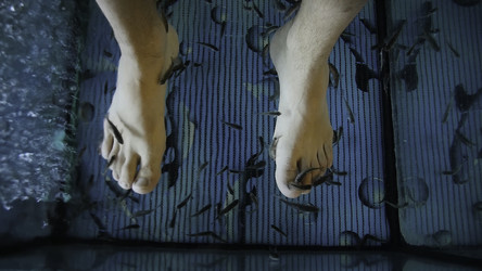 Similar image 22458456