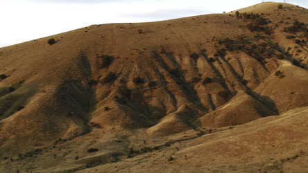 Similar image 22458830