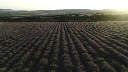 Similar image 22458831