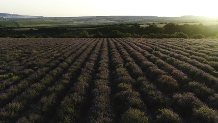 Similar image 22459953