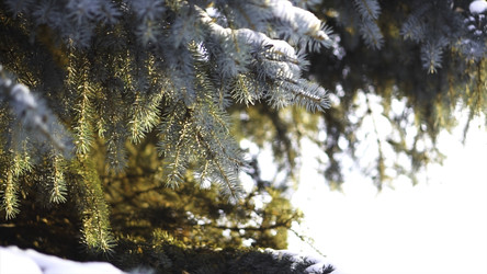 Similar image 22460103