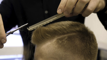 Similar image 22462073