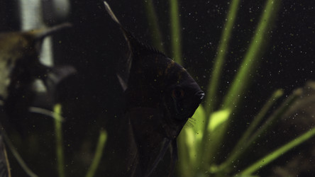 Similar image 22462118