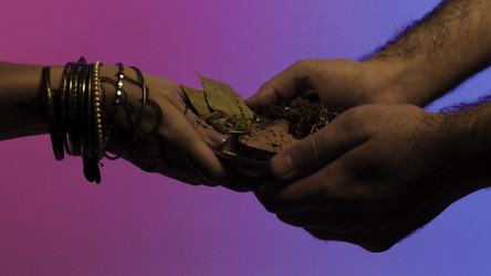 Similar image 22462342