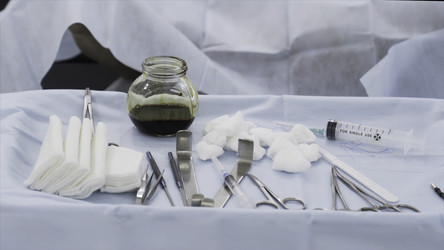 Similar image 22462437