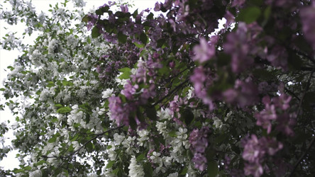 Similar image 22462477