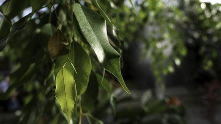 Similar image 22406850