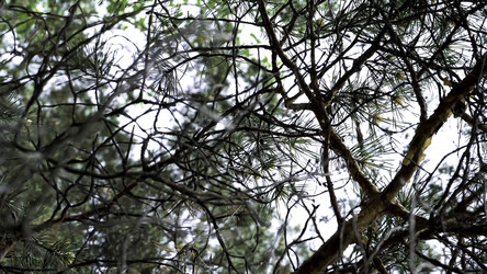 Similar image 22406985