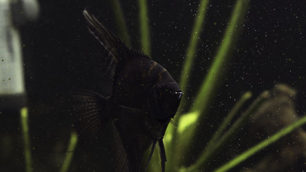 Similar image 22407525