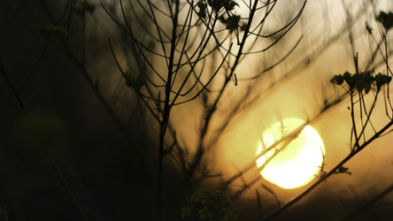 Similar image 22443553