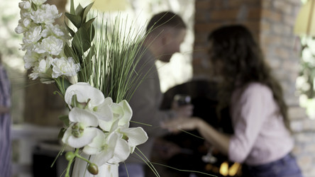 Similar image 22443554