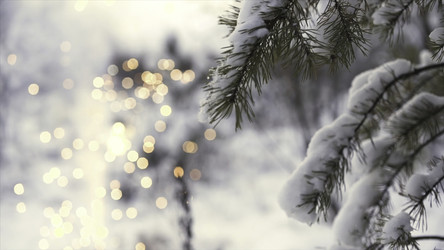 Similar image 22446172