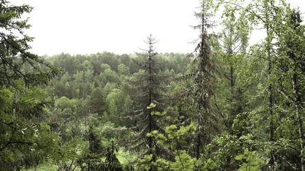 Similar image 22446182