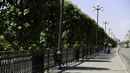 Similar image 22446183