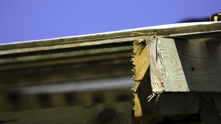 Similar image 22446188