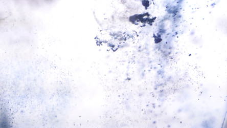 Similar image 22446191