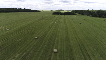 Similar image 22446195